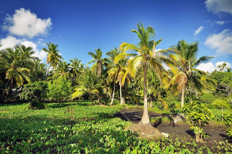 Honeymoon Destinations